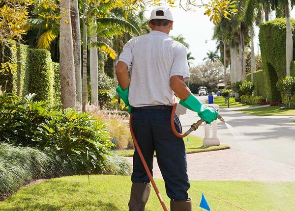About Millston WI Pest Control